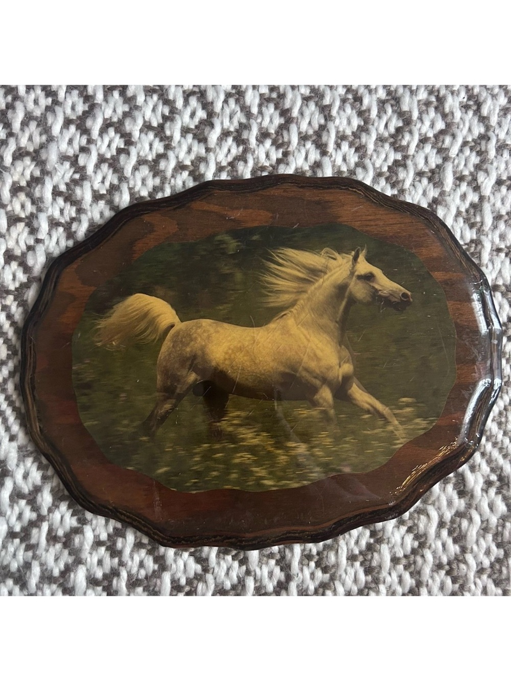 Decorative White Horse Photography Wall Art